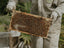 Essential Winter Beekeeping Tasks in Florida